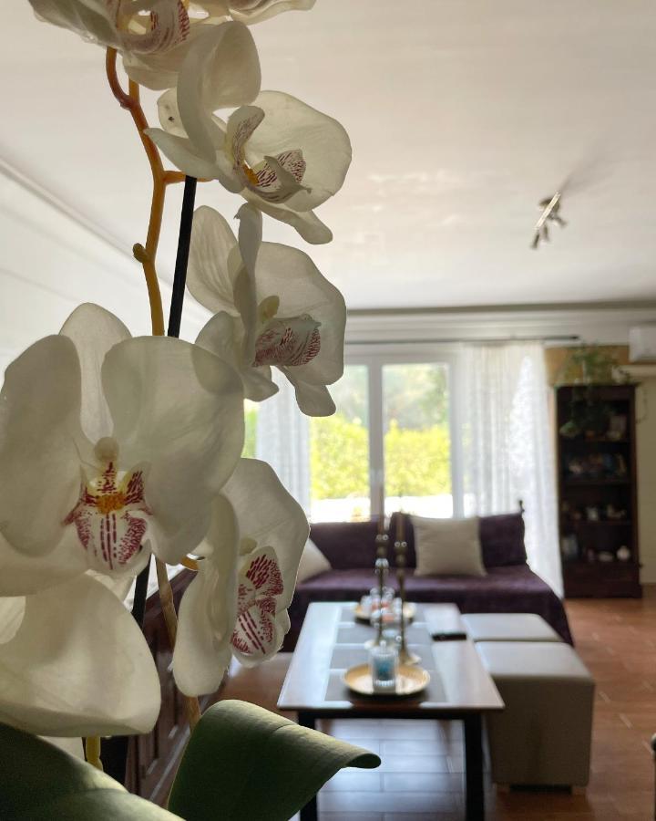 Villa Anasandra - 3 Bedroom Villa Kompítsion 外观 照片